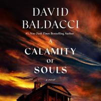 Image for "A calamity of souls"