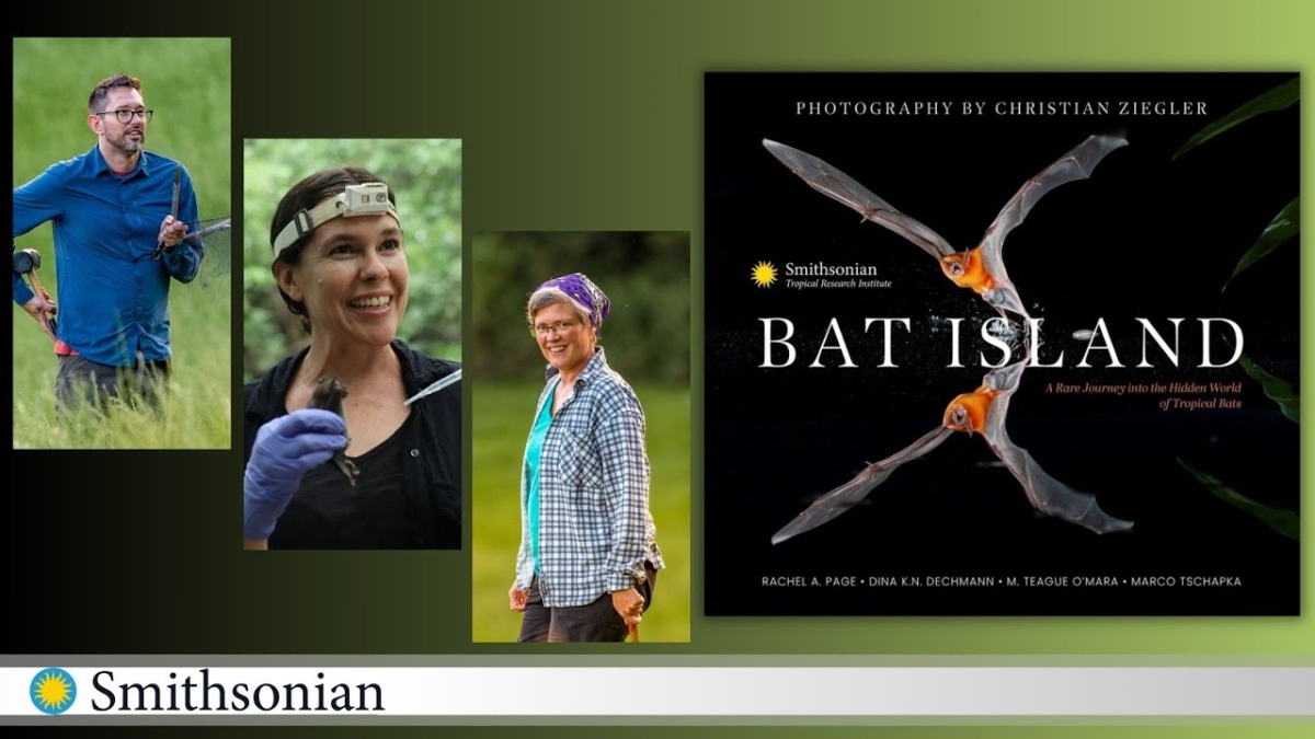 image for bat author talk